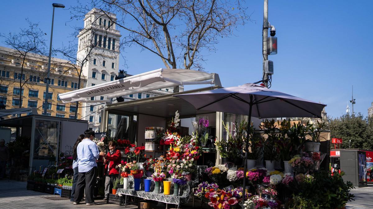 Los puestos de flores abandonan la Rambla y se instalan en la plaza Catalunya por las obras