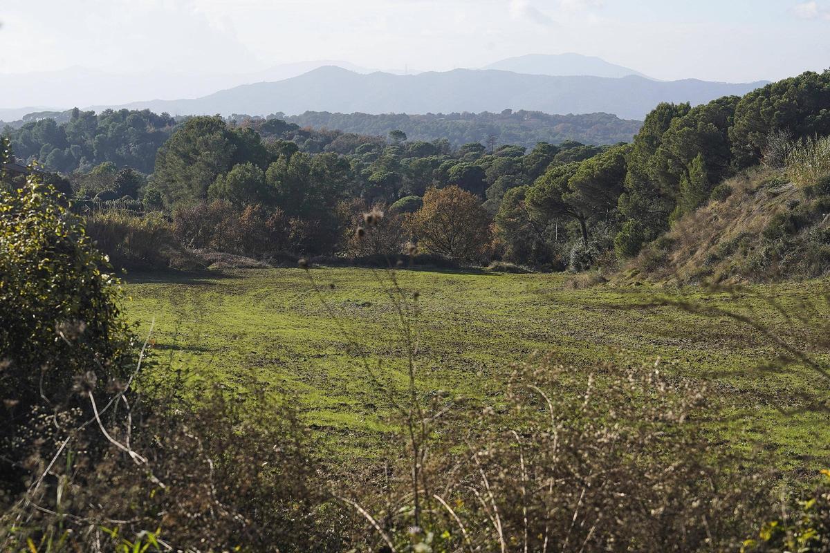 251217DDG_Marc Mart (228696820)