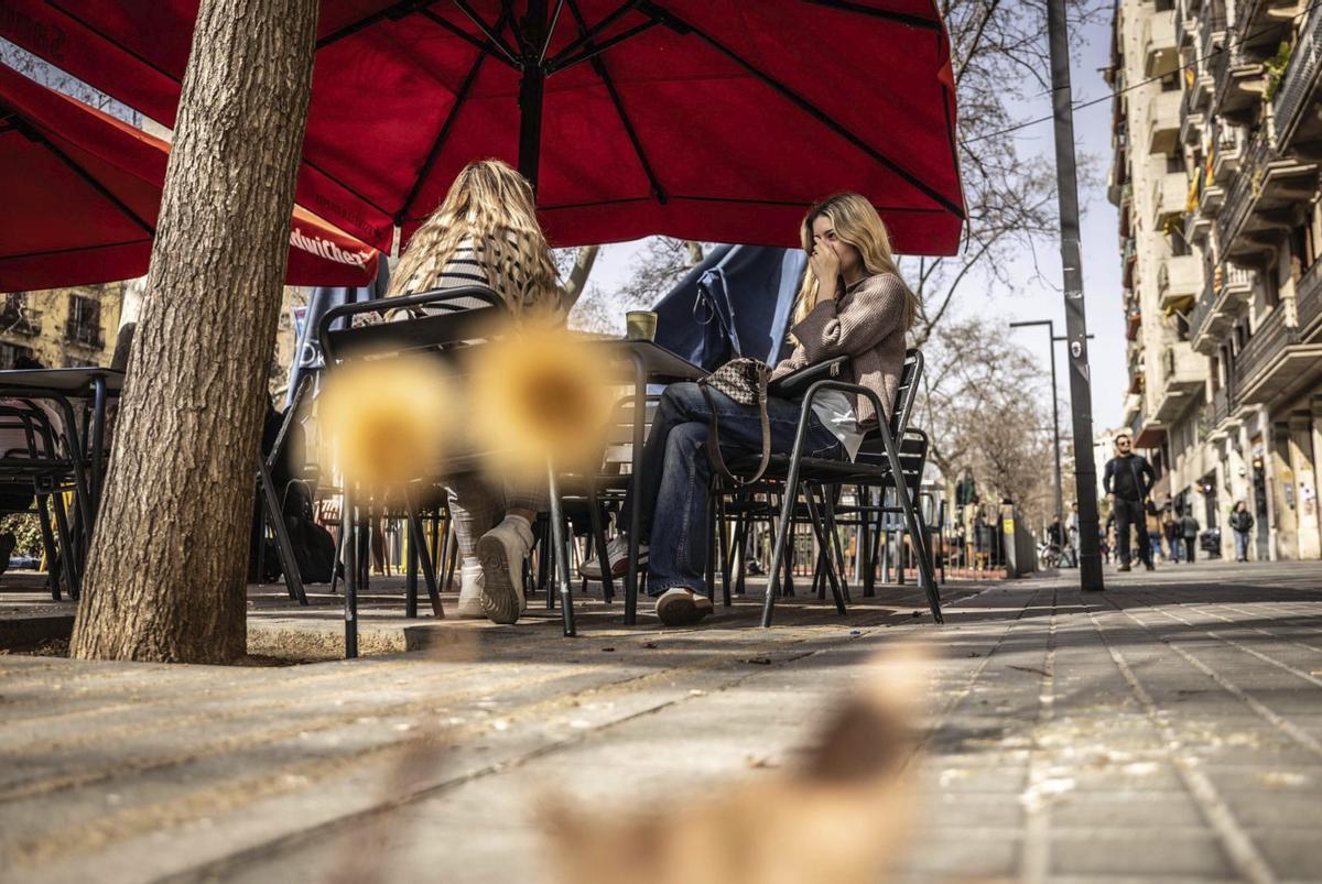 Les al·lèrgies al pol·len disparen les consultes mèdiques aquesta primavera