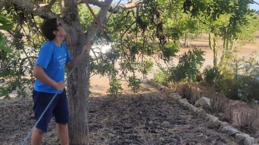 El alumno Pablo Valenzuela realizando tareas de jardinería. | APIES