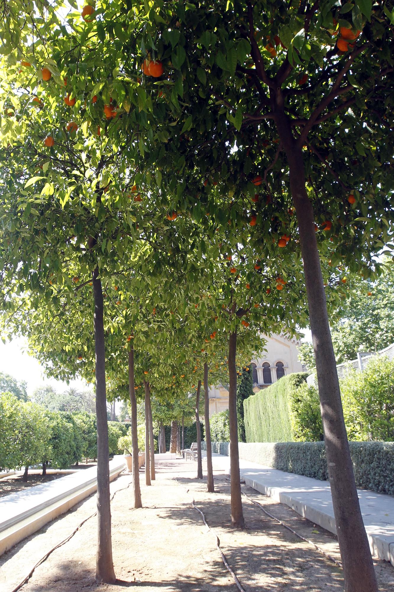 El Jardín de las Hespérides: un parque custodiado por las Ninfas