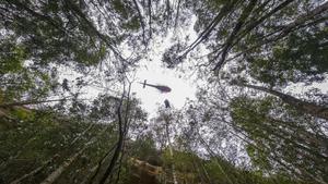  Un helicóptero participa en la protección de los incendios del bosque prehistórico de Australia