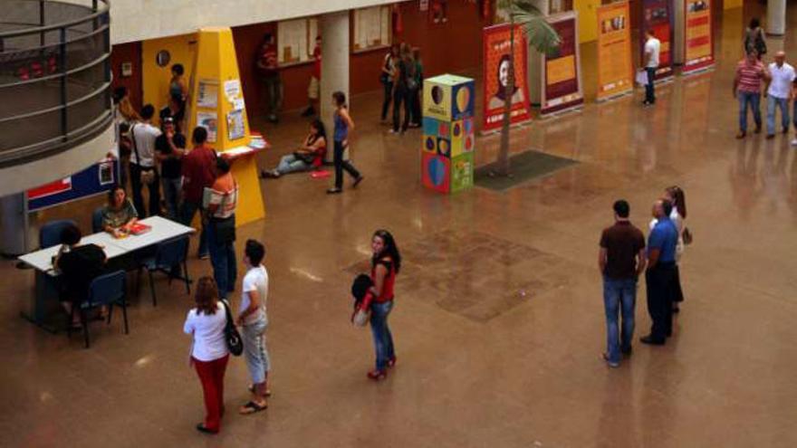 La UMH cuenta con más de 13.500 alumnos matriculados en estudios oficiales este curso.