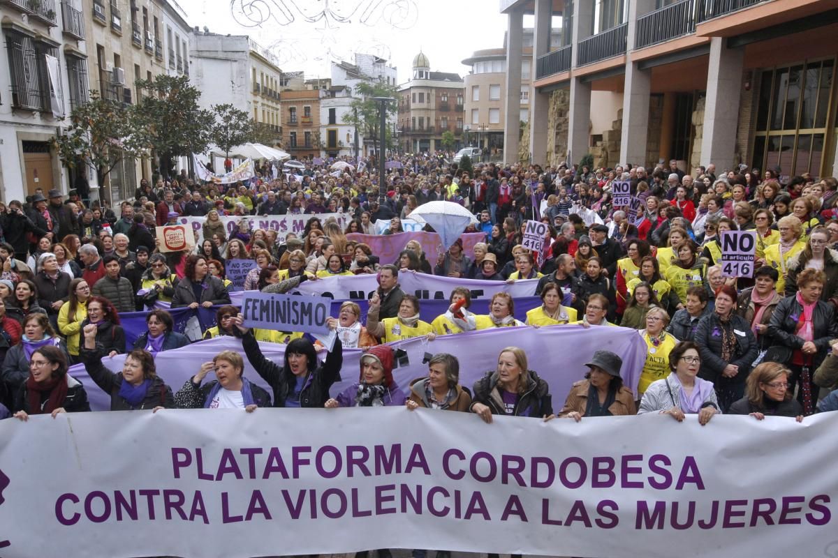 25N: Córdoba se manifiesta contra la violencia machista