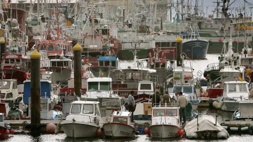 Pesqueros en Burela, uno de los puertos con más trabajadores extranjeros en sus barcos.