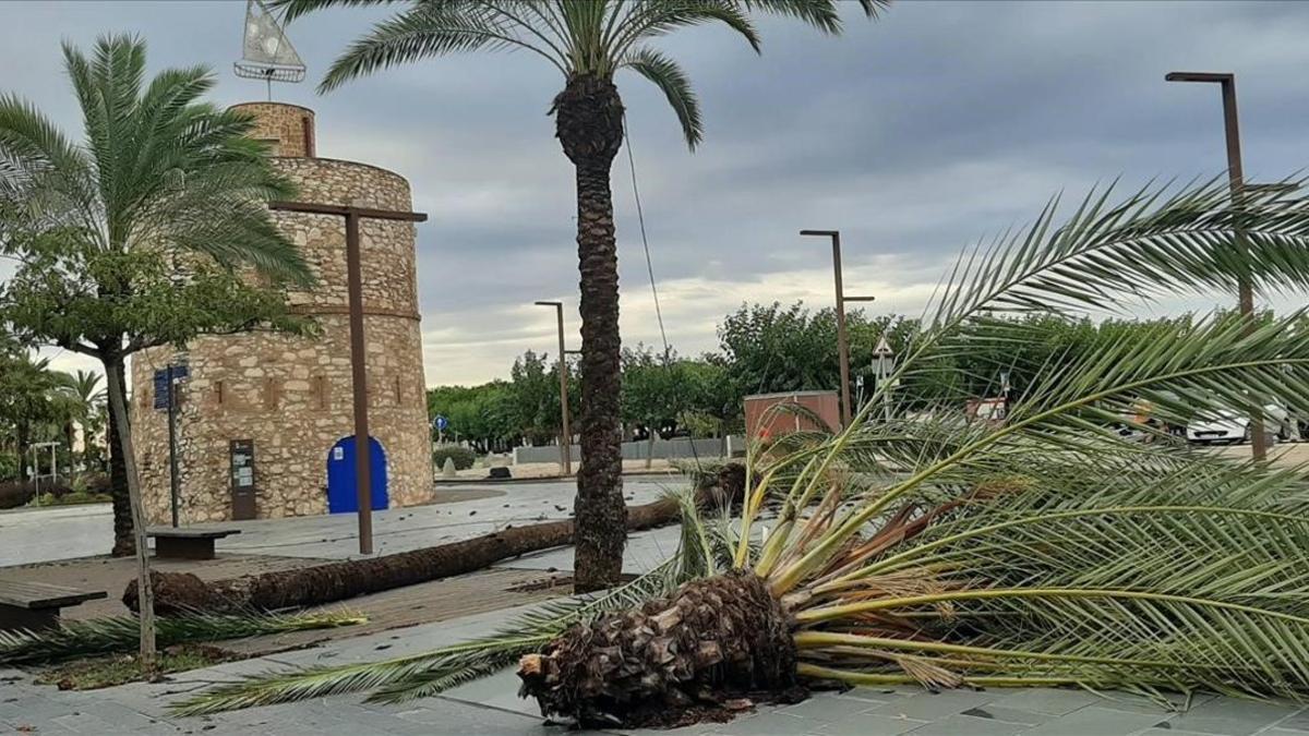 Daños por la tormenta en Vilanova i la Geltrú.