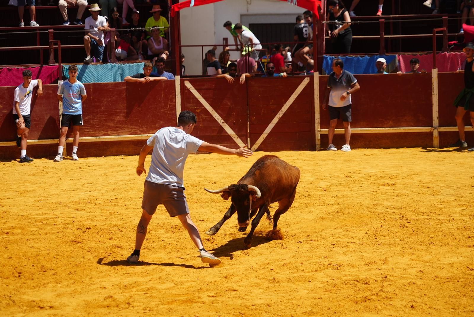 Gran ambiente, numeroso público y emoción en los encierros taurinos de El Viso