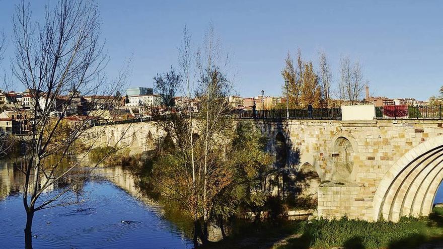 Puente de Piedra, que optaba a la ayuda del 1,5% cultural de Fomento.