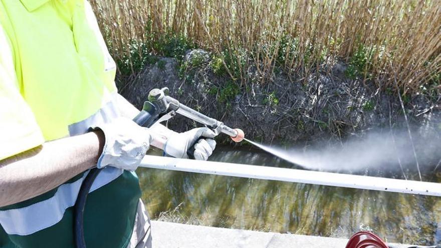 Castellón dobla el personal y turnos para la fumigación de los mosquitos