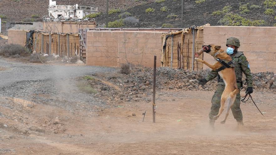 La Brigada 'Canarias' XVI, preparada para su despliegue en el Líbano