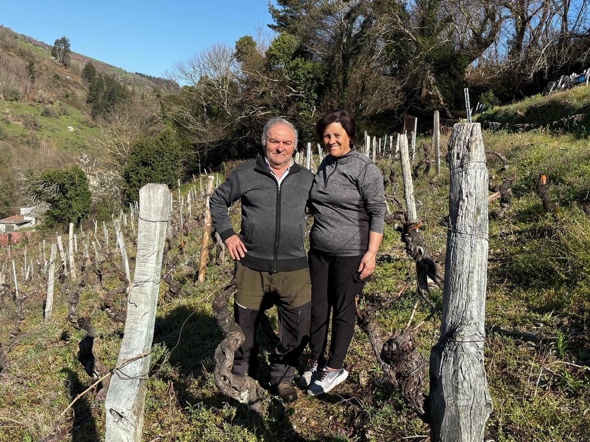 Evaristo Gómez y Alicia Martínez en uno de los viñedos antiguos de la casa.