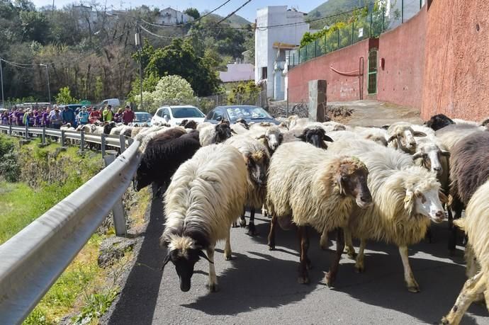 08-03-2020 VALLESECO. Feria del Queso y ruta trashumante femenina en el Cruce de Cueva Corcho. Fotógrafo: ANDRES CRUZ  | 08/03/2020 | Fotógrafo: Andrés Cruz