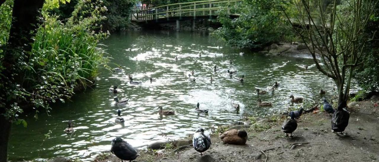 1. El estanque del parque Antonio García Lago de La Felguera. 2. Una calle de Tuilla. 3. El quiosco de la música del parque Dorado de Sama.