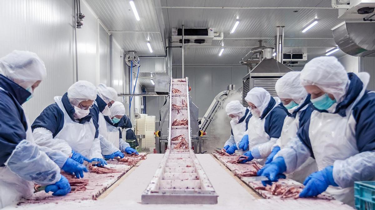 La pesquera viguesa Profand se hace mayúscula: 1.116 millones en ventas y más de 20 para nuevas inversiones