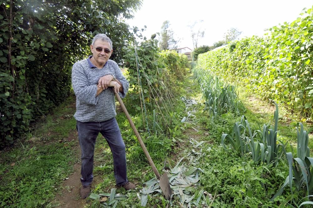 Curso de agricultura ecológica en Langreo