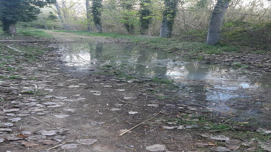 Un col·lector d’aigües residuals es tapona amb unes arrels a Castellbell i sobreeix