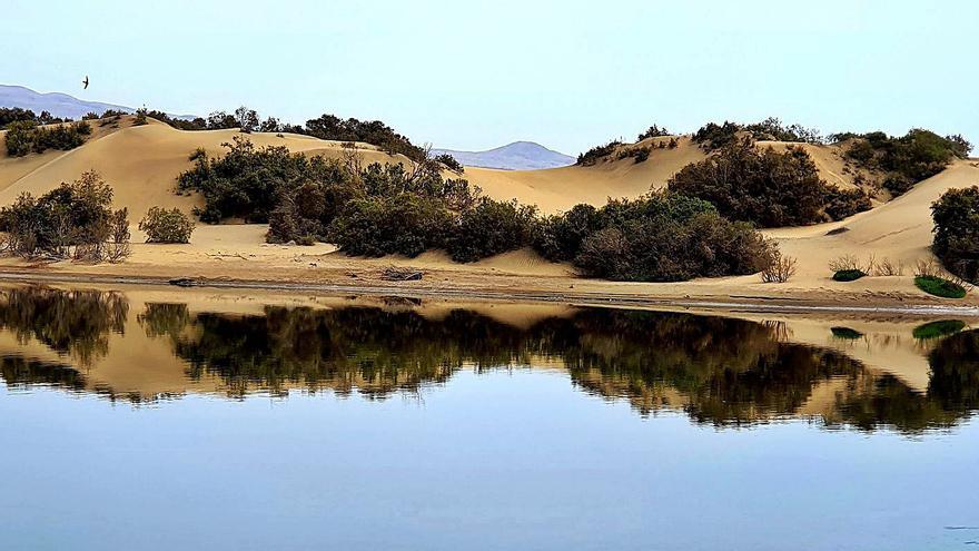 El origen del topónimo de la Playa de las Burras