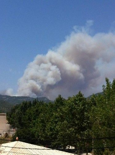 Alarm auf Mallorca: Waldbrand bei Andratx