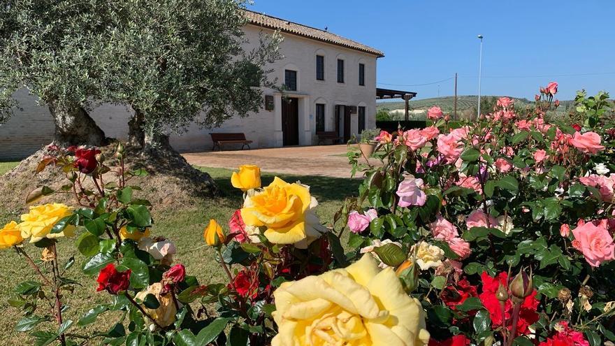 Luque Ecológico SL en Castro, la almazara más sostenible de España