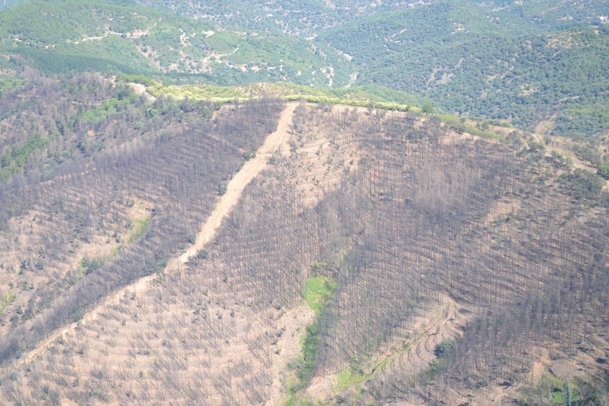 Así ha quedado la zona afectada por el incendio de Pujerra, ya extinguido