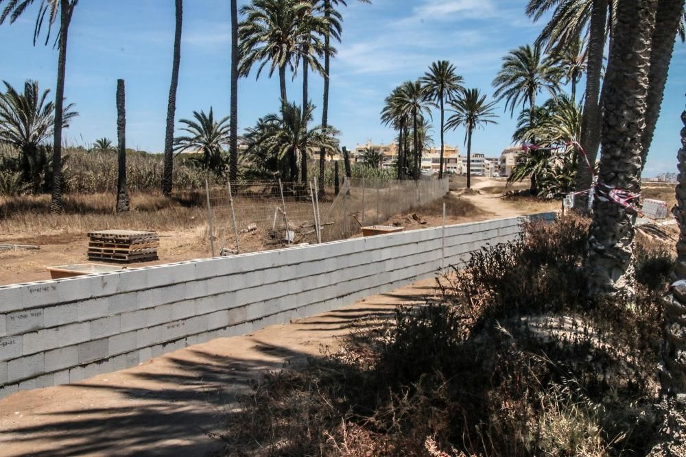 Un muro cierra el palmeral de Ferrís en Torrevieja