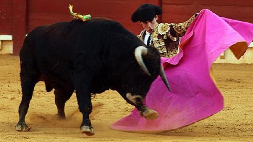 RTVE veta los toros, que ve como &quot;violencia con animales&quot;