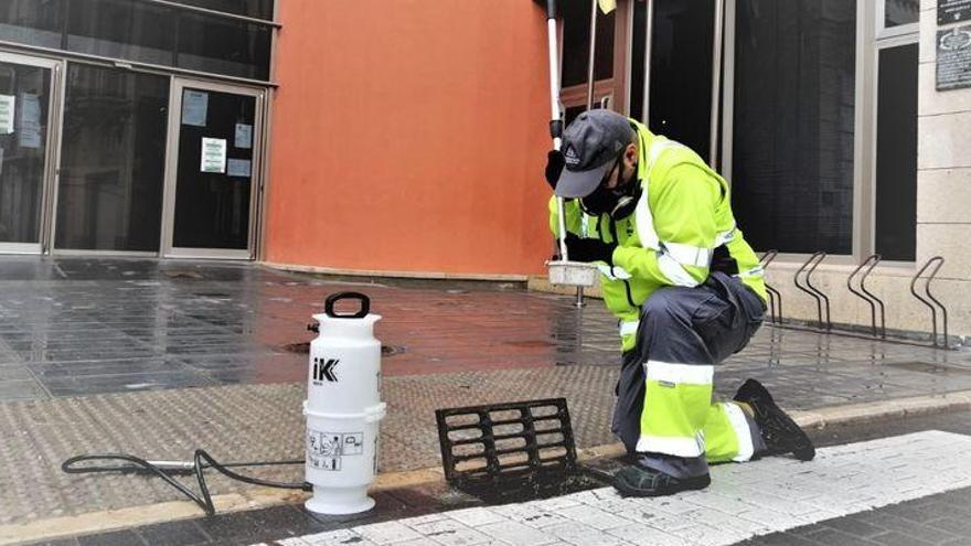 Lokímica combate las plagas para evitar problemas de salud