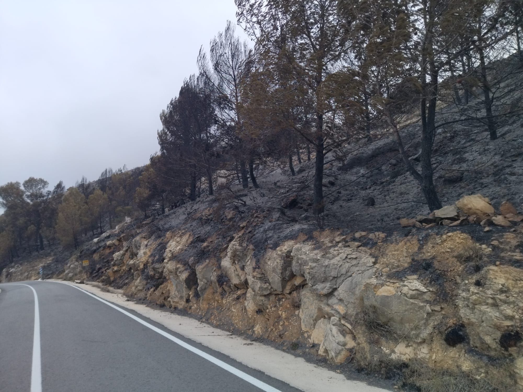 La destrucción del incendio de Tàrbena, en imágenes