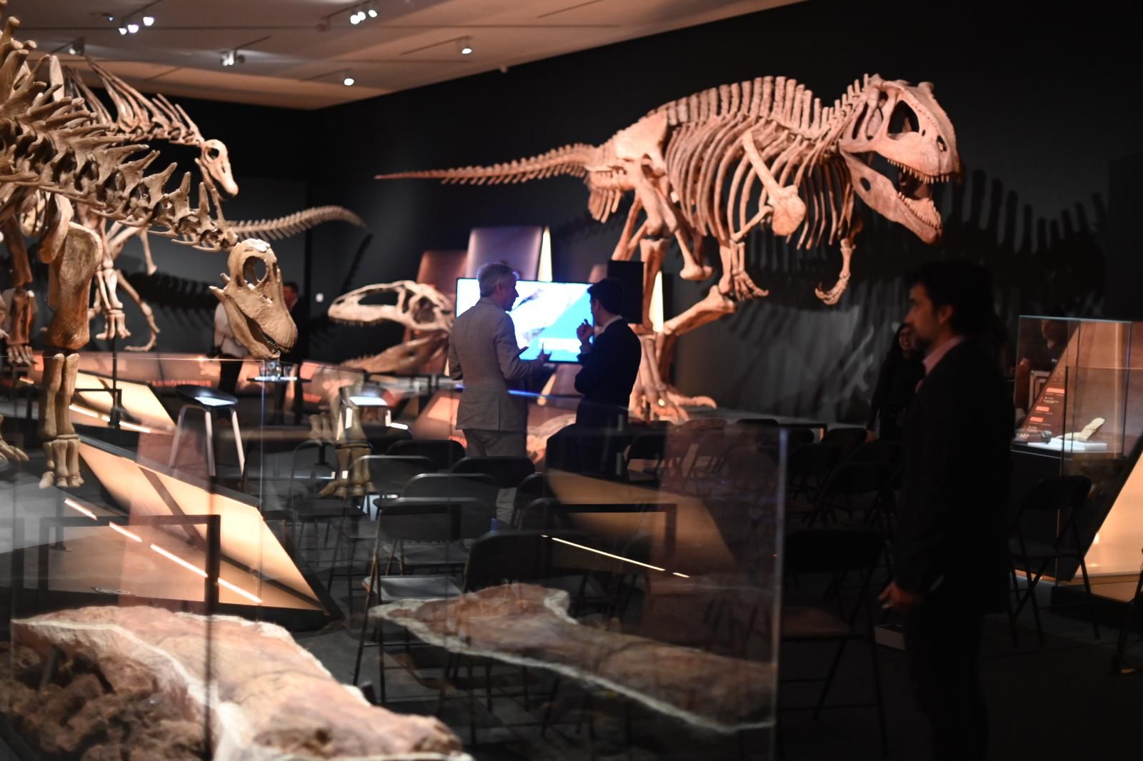 En imágenes | El dinosaurio más grande conocido conquista el Caixaforum de Zaragoza