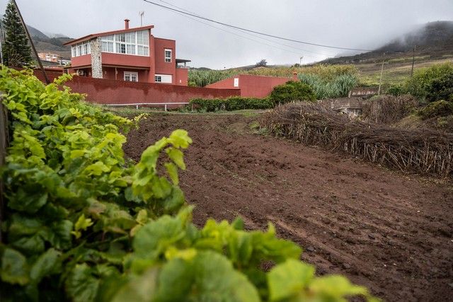 Efectos de la tormenta 'Hermine' en Tenerife