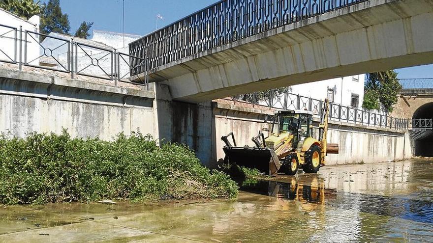El Ayuntamiento de Mérida ultima los trabajos de limpieza en el cauce del Albarregas