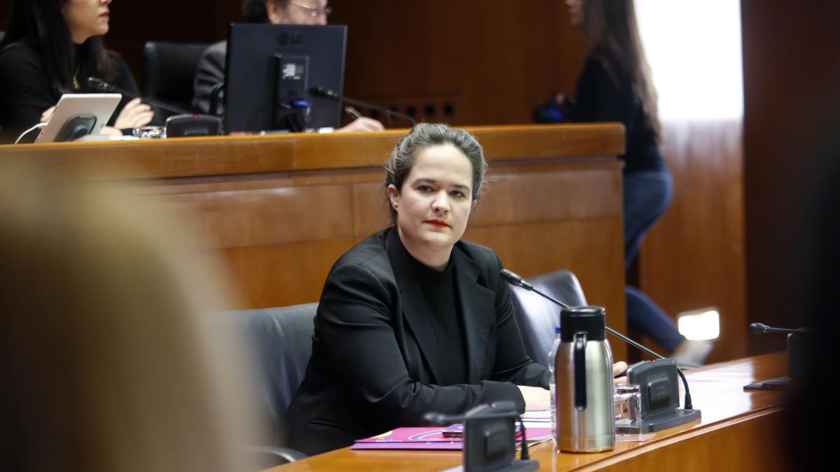 La directora del Instituto Aragonés de la Mujer, María Goikoetxea, en las Cortes de Aragón.