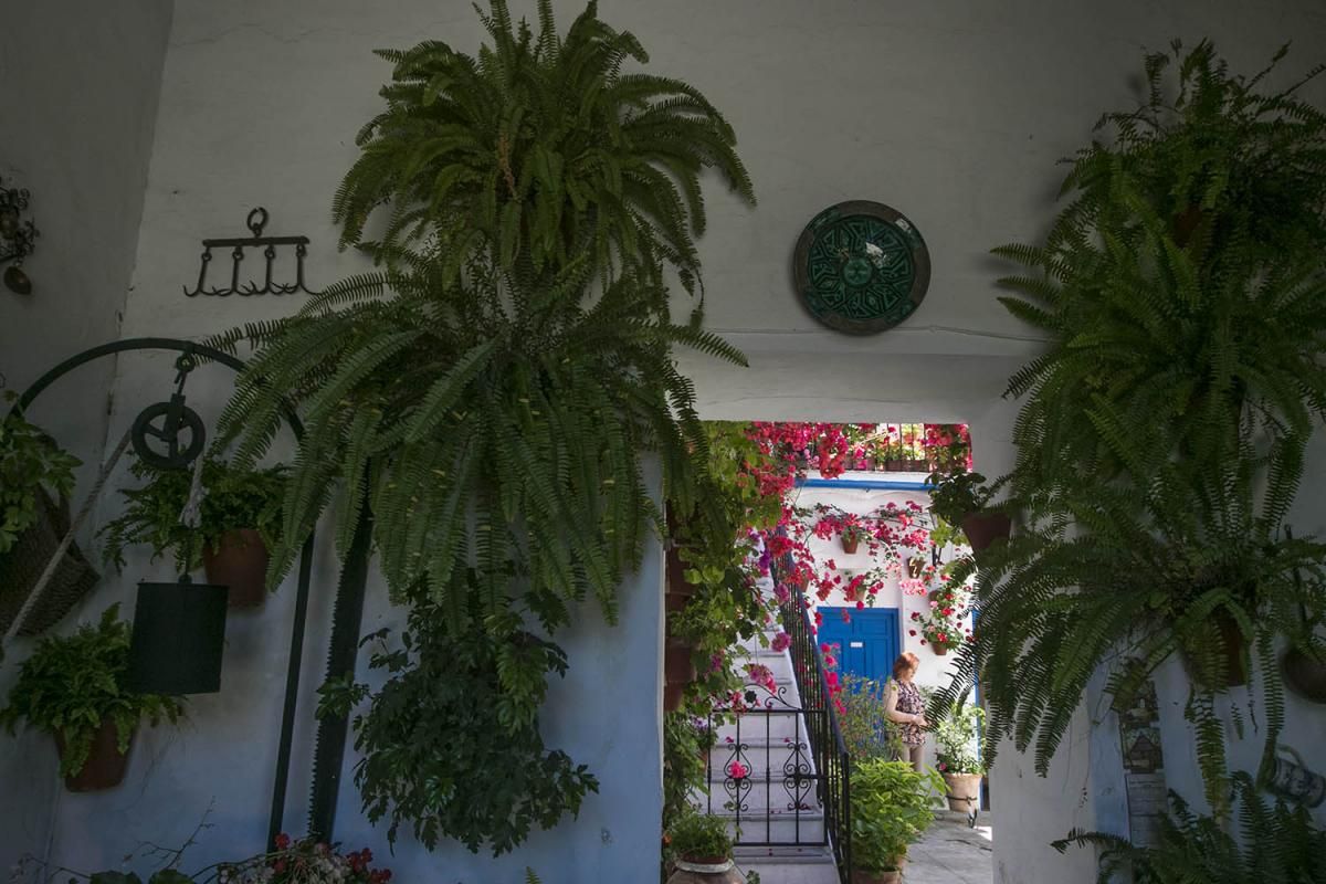 Fotogalería / Descubriendo los patios de la ruta Santiago-San Pedro