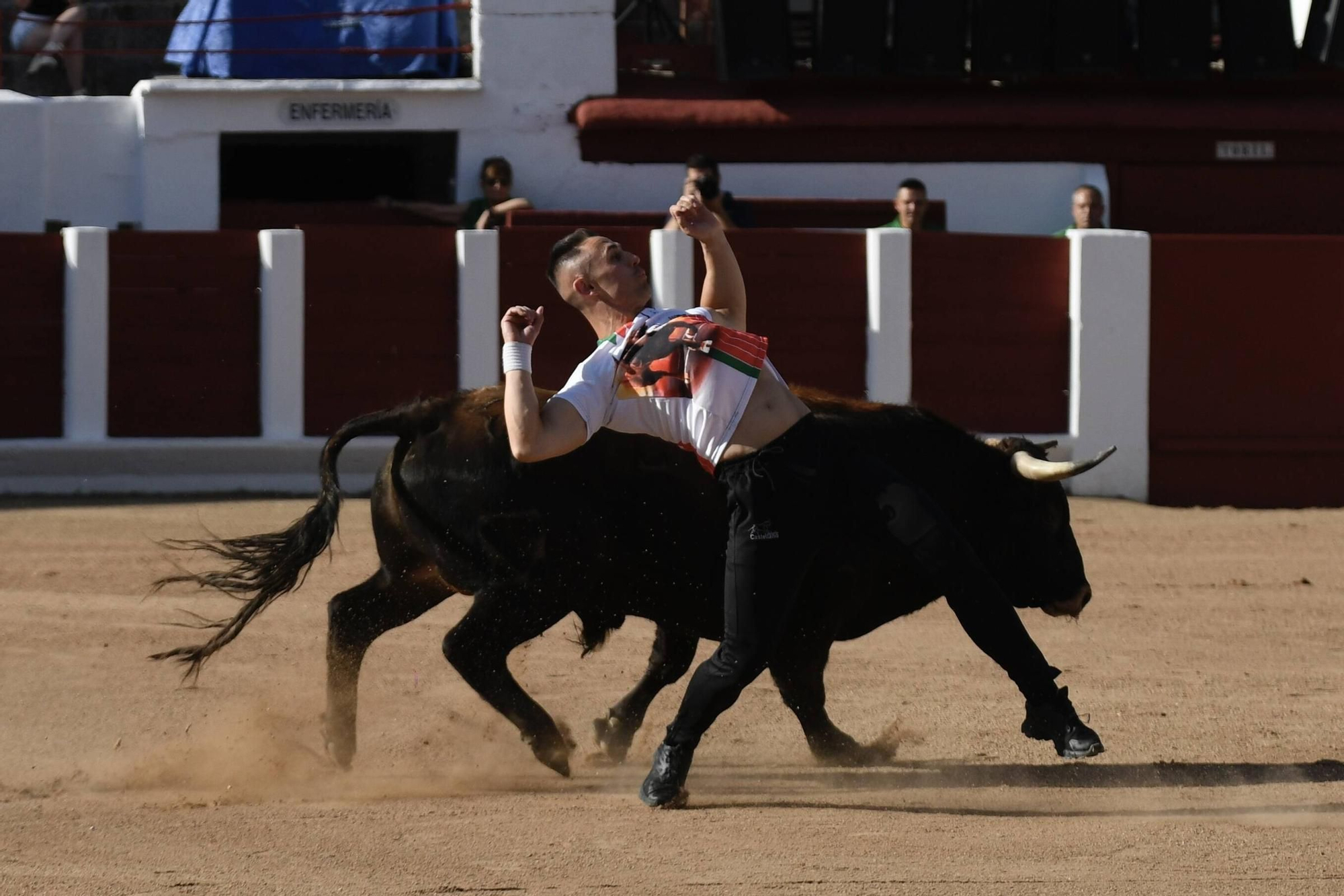Concurso Recortadores San Pedro 2025