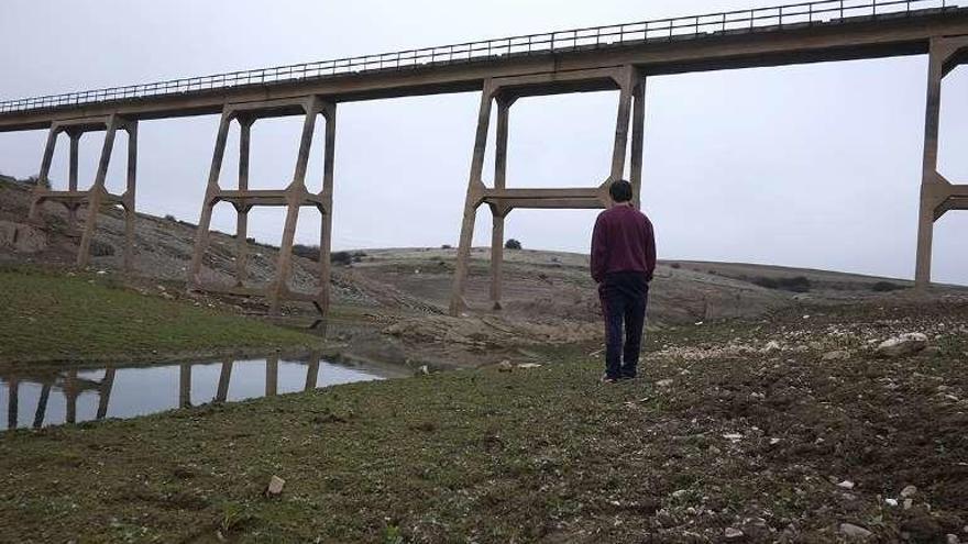 Cola del embalse de Ricobayo en Andavías hace unas semanas.