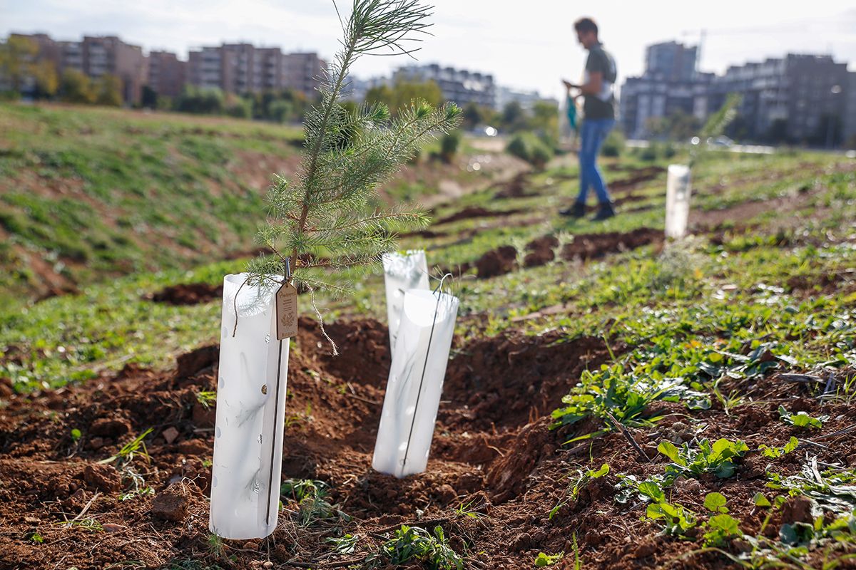 La empresa Fertinyect planta 100 nuevos árboles en el Parque del Flamenco