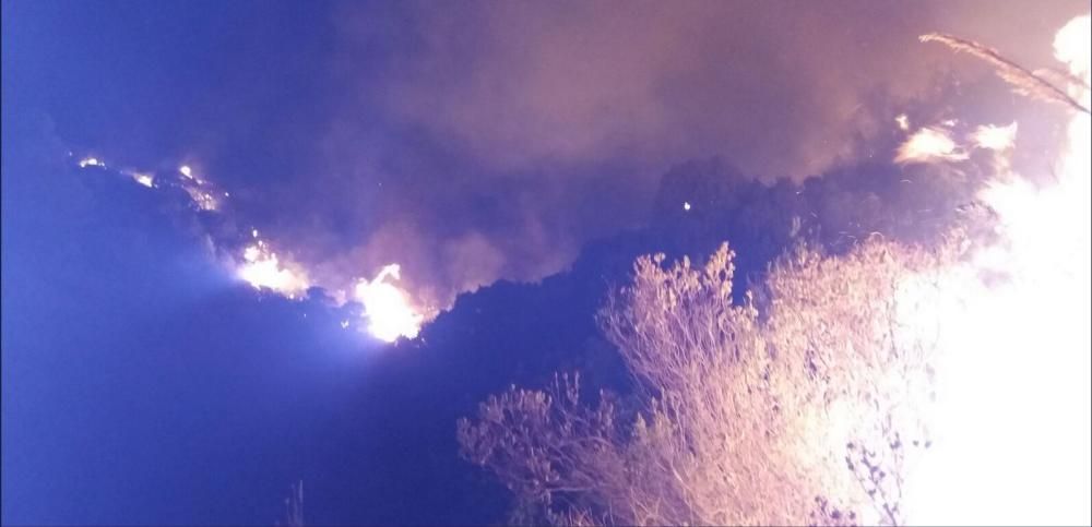 Incendio forestal en la zona de La Concha en Marbella