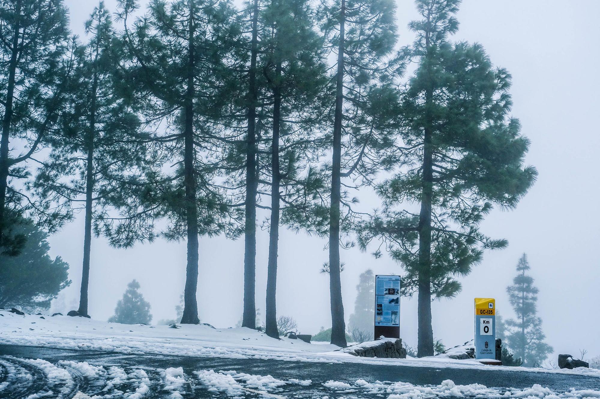 Nieve en la cumbre de Gran Canaria (15/03/2022)