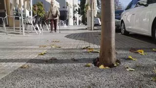 El Ayuntamiento opta por tapar mil alcorques con resina drenante en Córdoba