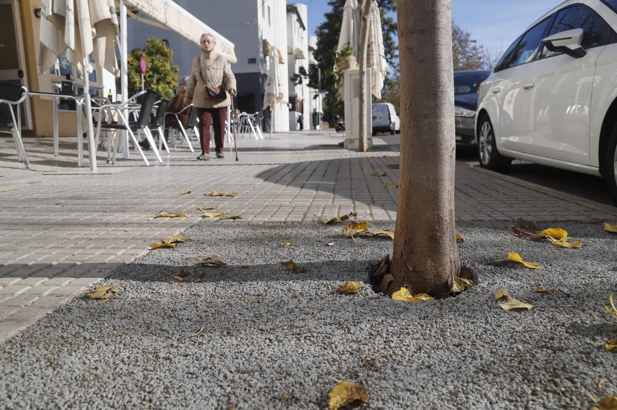 Resina drenante colocada en un alcorque de la ciudad.