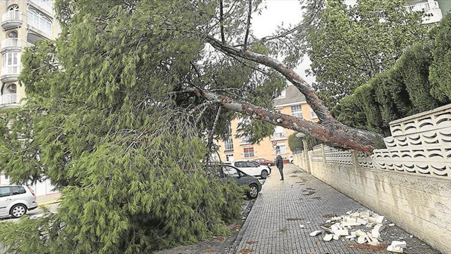 Un fallecido por la riada en Murcia y graves daños e inundaciones en Valencia y Alicante