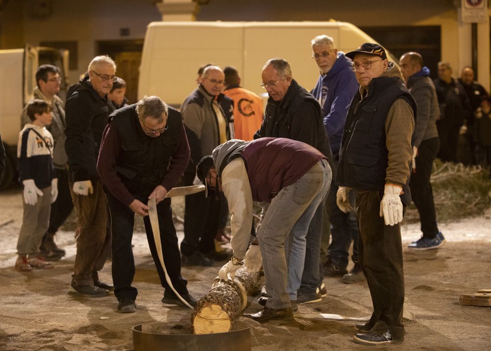 Sant Antoni arranca en Sagunt con la tradicional Plantà del Pi