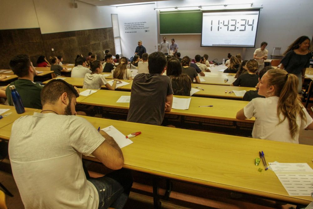 En la UMH durante estos días van a realizar las Pruebas de Acceso a la Universidad un total de 3.498 alumnos.