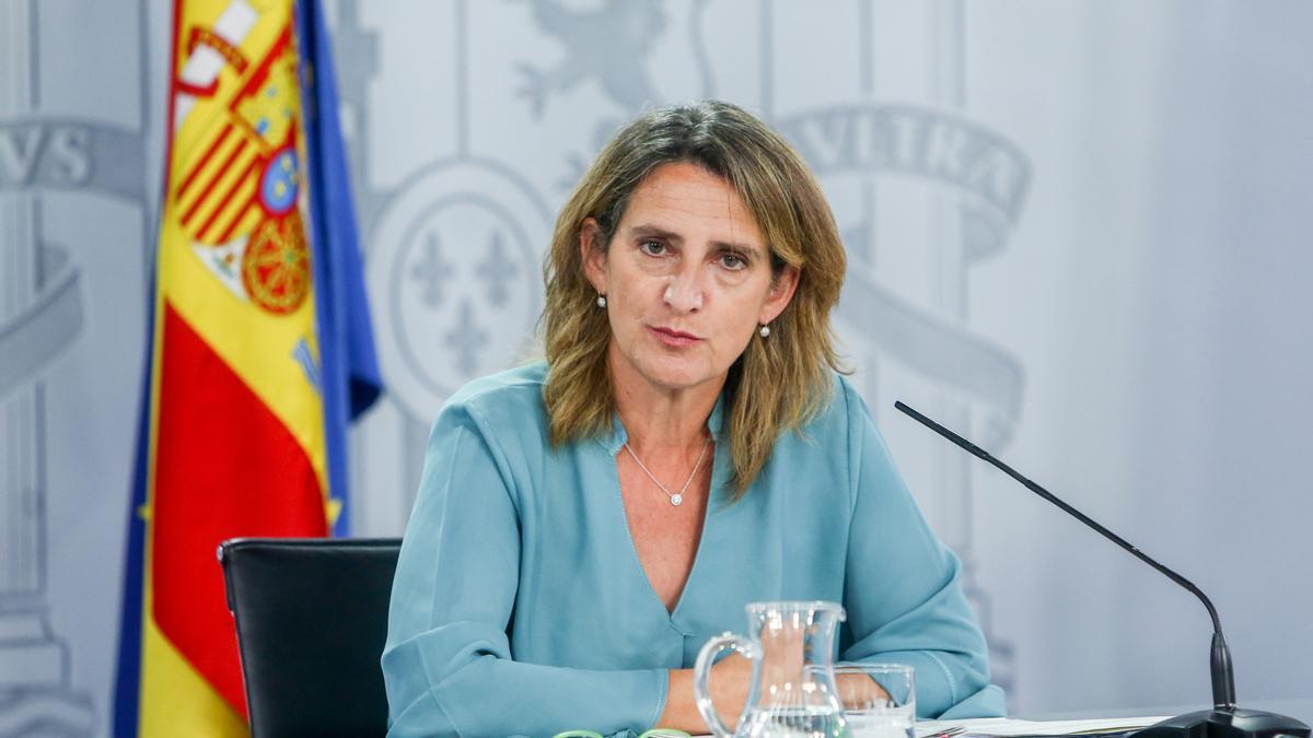 Teresa Ribera, vicepresidenta tercera y ministra para la Transición Ecológica