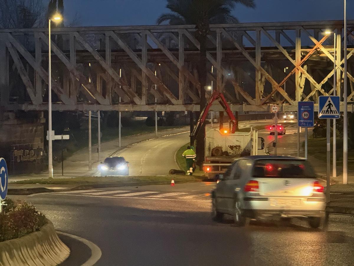 El viento parte una palmera en la capital extremeña.