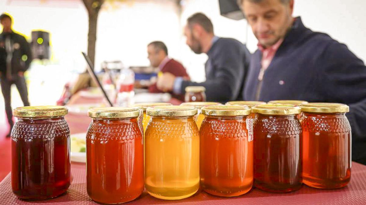 Concurso de Mieles de la Feria Apícola Hurdes.