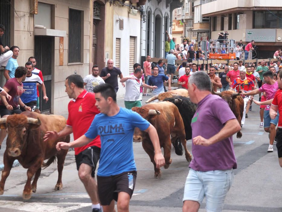 "Xupinasso" y primeros encierros en las fiestas de la Vall