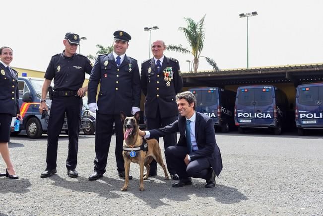 Dia de la Policia