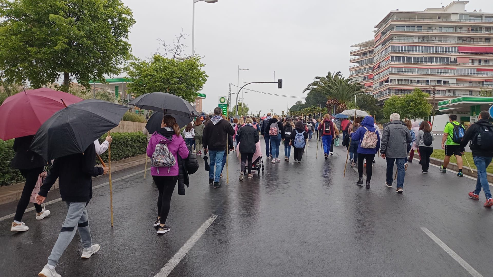 Miles de alicantinos acompañan a la Santa Faz en su peregrinación pese a la lluvia