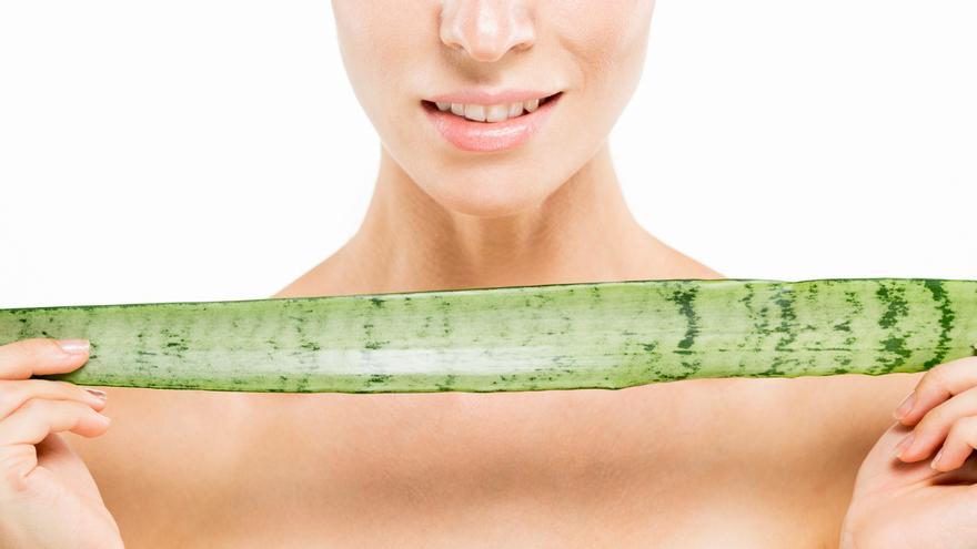 Esto es lo que pasa en tu cuerpo si comes aloe vera todos los días (y como hacerlo con precaución)